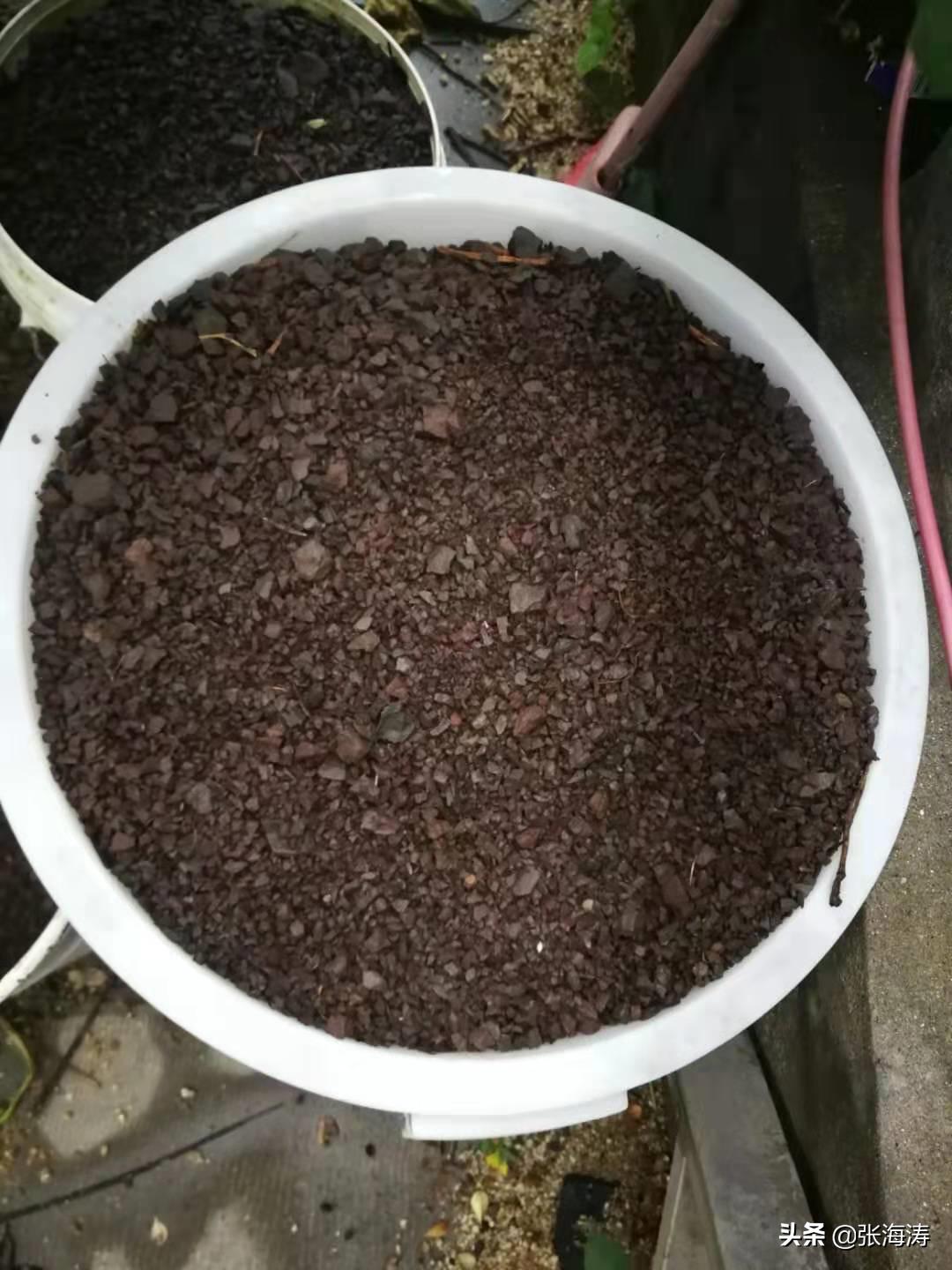 兰花种植什么样的风化石最好,兰花风化石种植技术