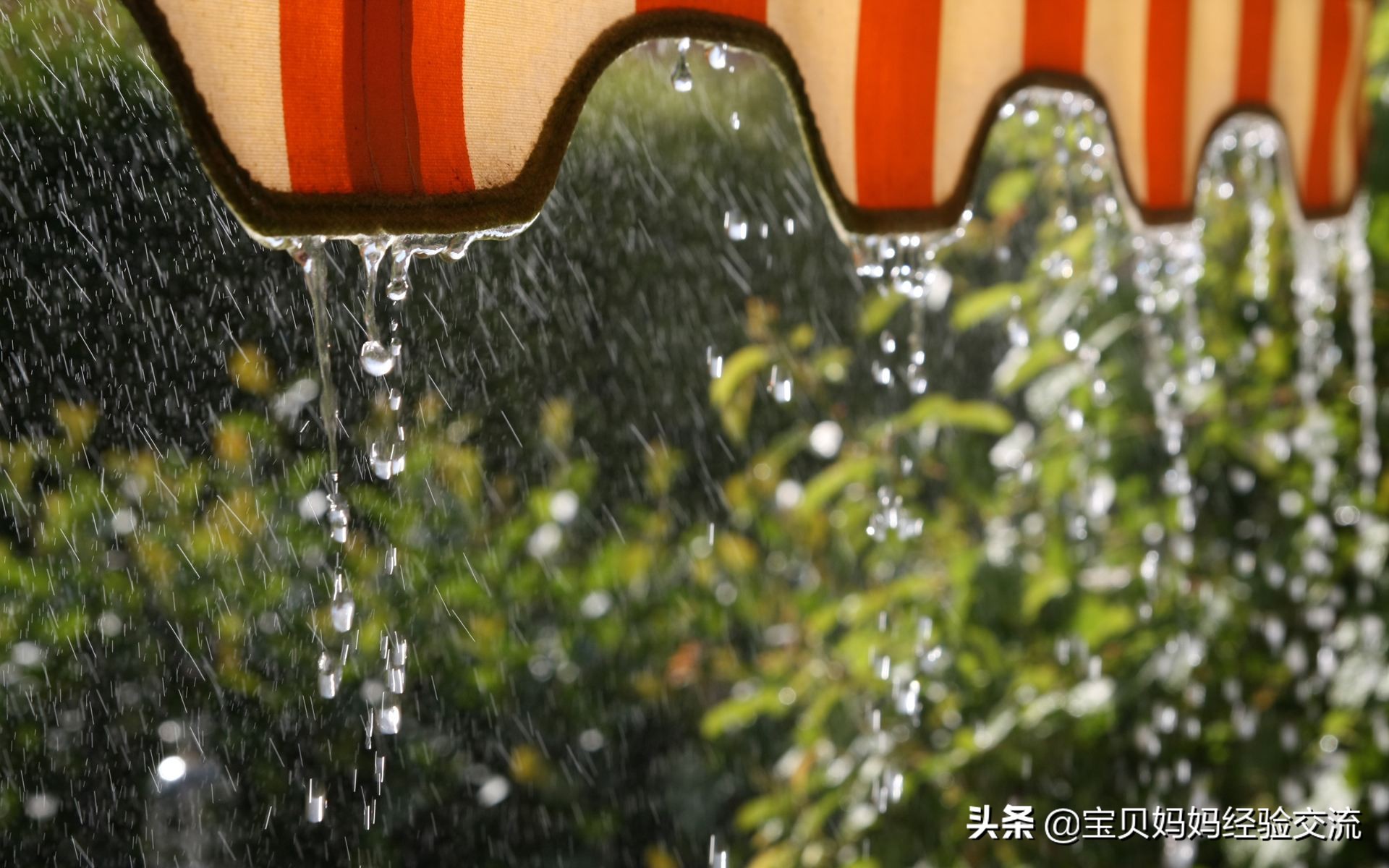 屋子老是有小毛毛,房子里老是有毛毛怎么回事