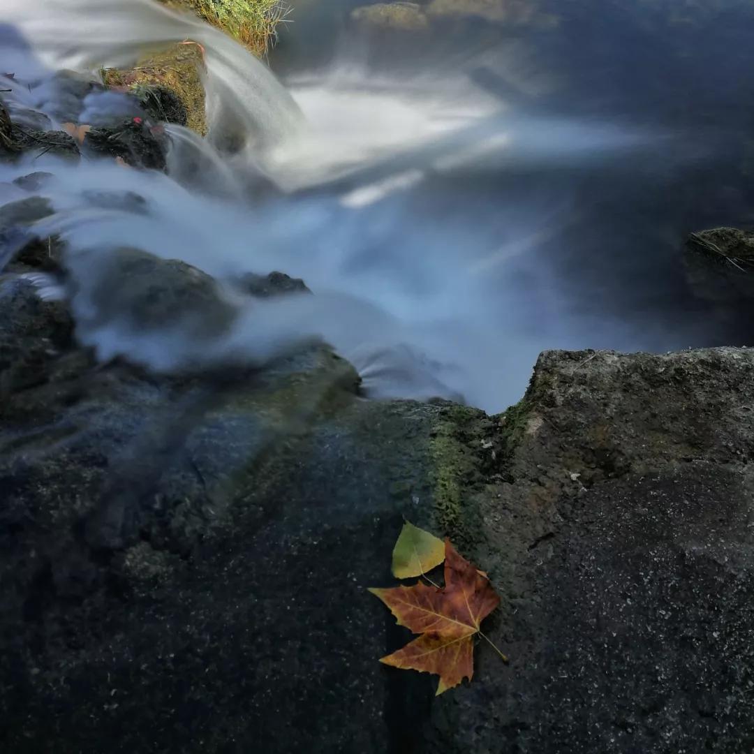 秋色正艳|掌握这6个小技巧，教你拍出绝美秋景