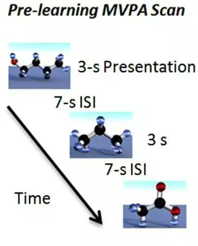 科学发现原子,科学发现植物的灵性