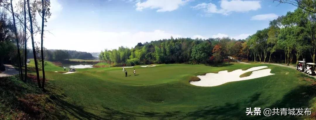 从a到z的成长,从a到z爱上茶的理由