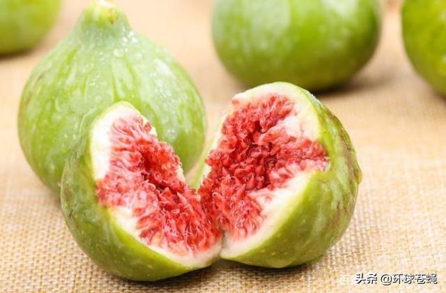 不求外在荣华，只求在基督里长进！关于无花果，你知道多少？