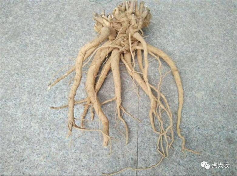 POLA全新“10分钟见效”美白面膜和美白饮霸气出山，又被夸上天了