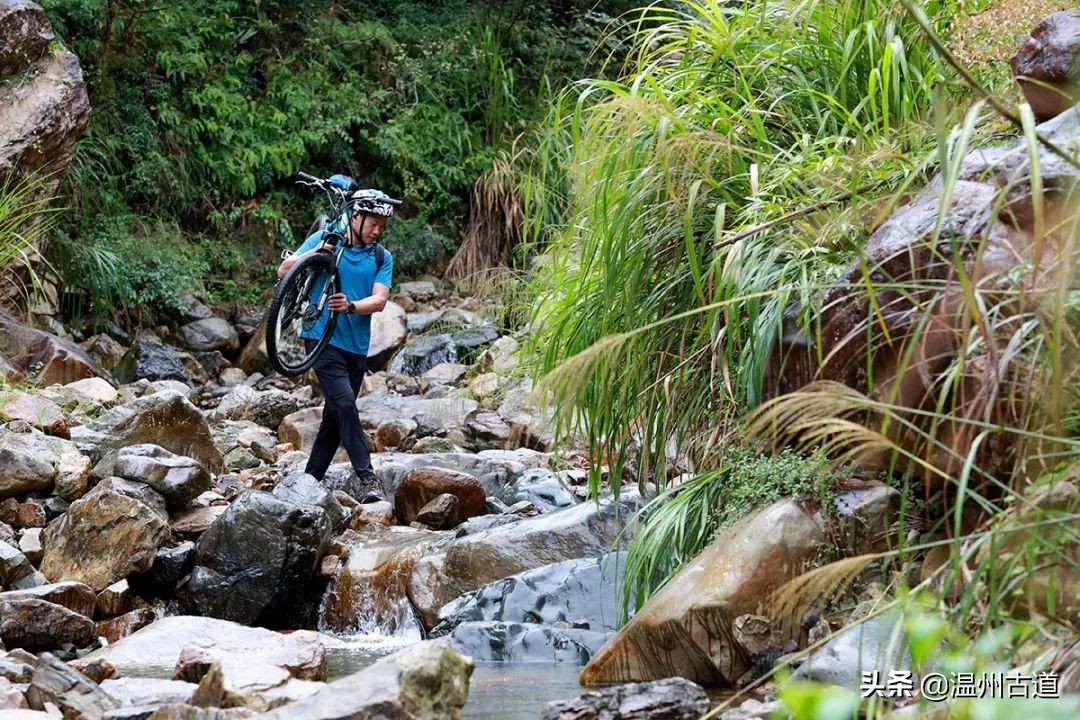 年近五旬,温州这位校长“扛着车玩骑行”!他的旅程有点牛
