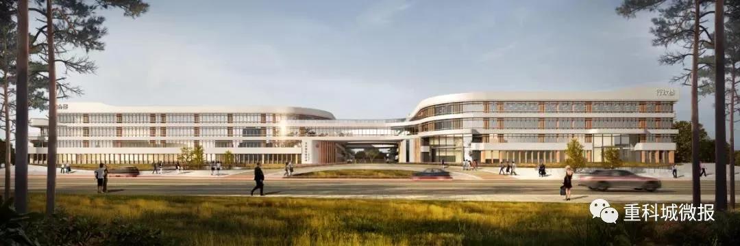 年内开建谢家湾小学,谢家湾小学的五个校区