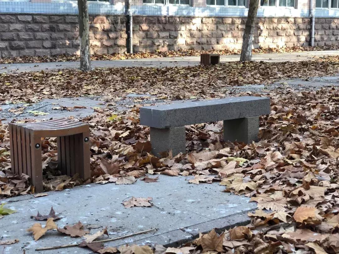 历城二中六十周年,二十年前的历城二中