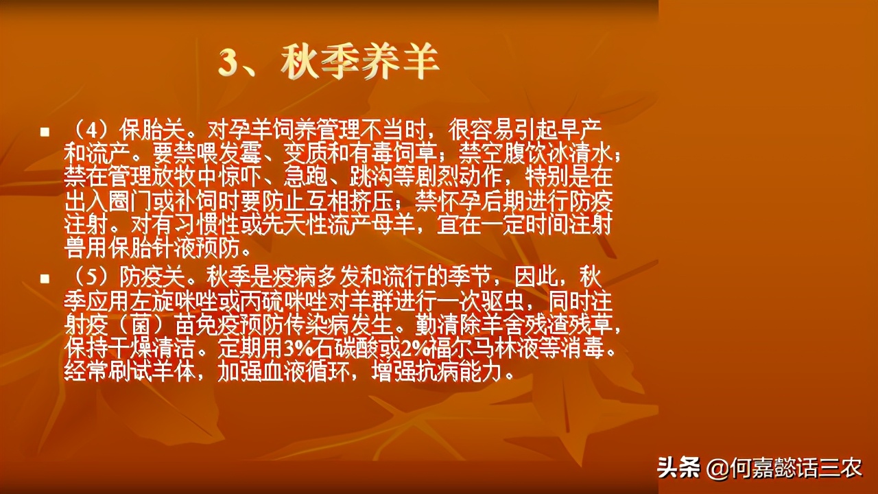 何嘉懿讲兽医养殖技术,何嘉懿的养殖方法