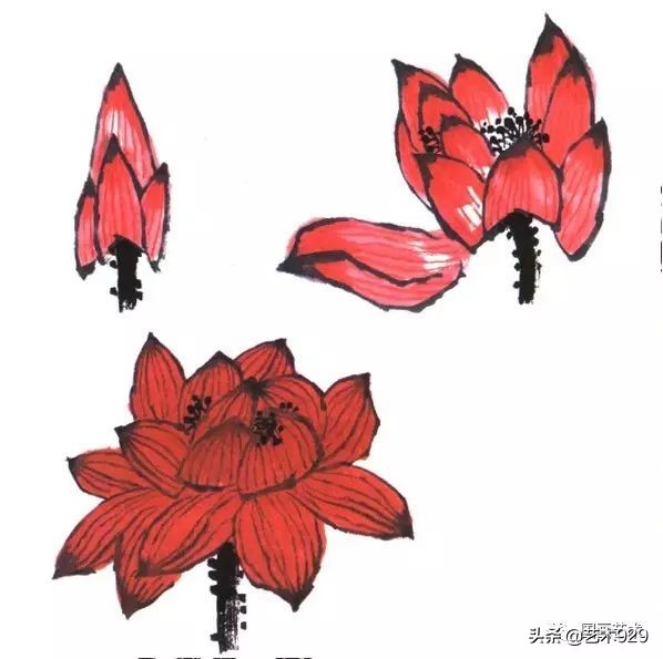 荷花的画法和步骤图解,最简单的荷花画法一学就会