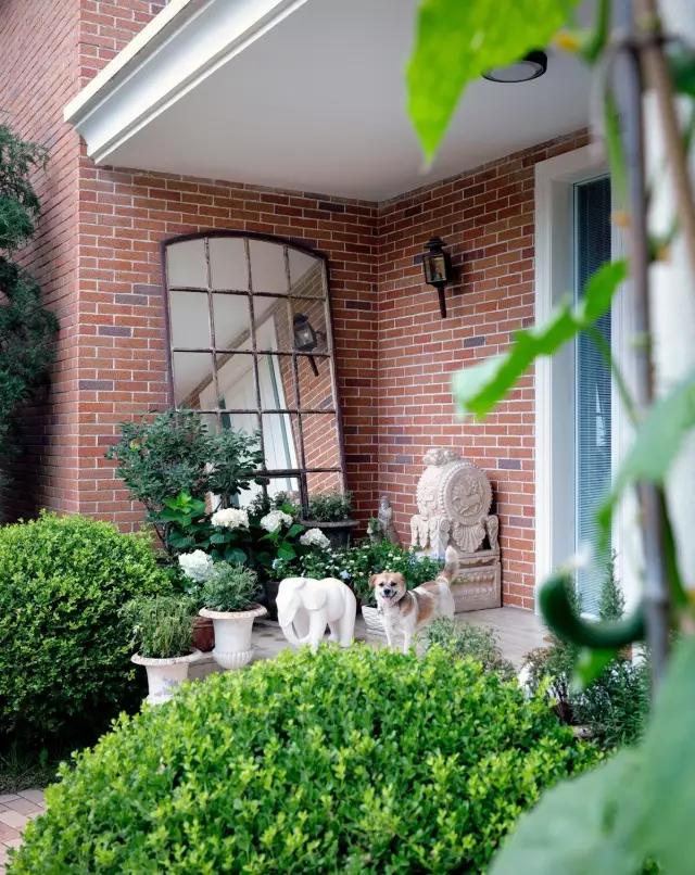 消失6年后,张静初单身生活首曝光!独居大House,与满屋破烂作伴