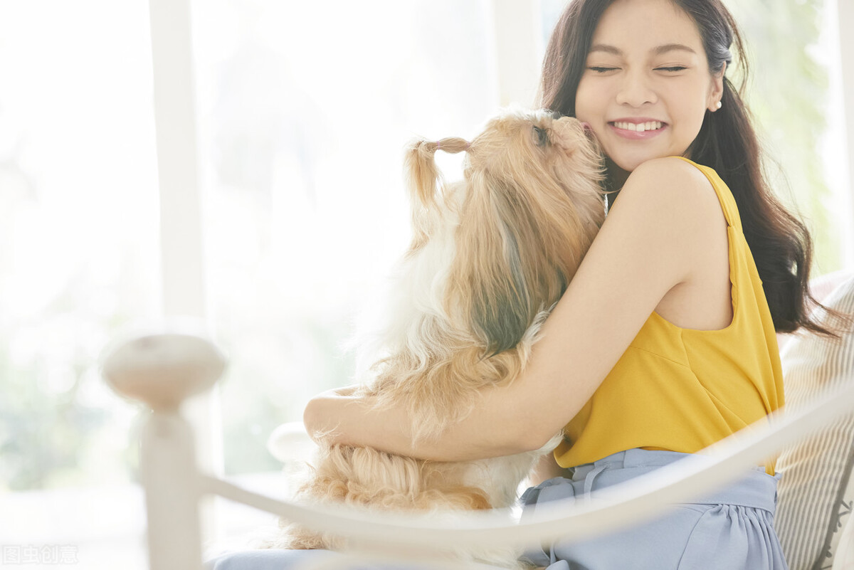 狗狗舔人的9种原因,狗狗被人类深深伤害