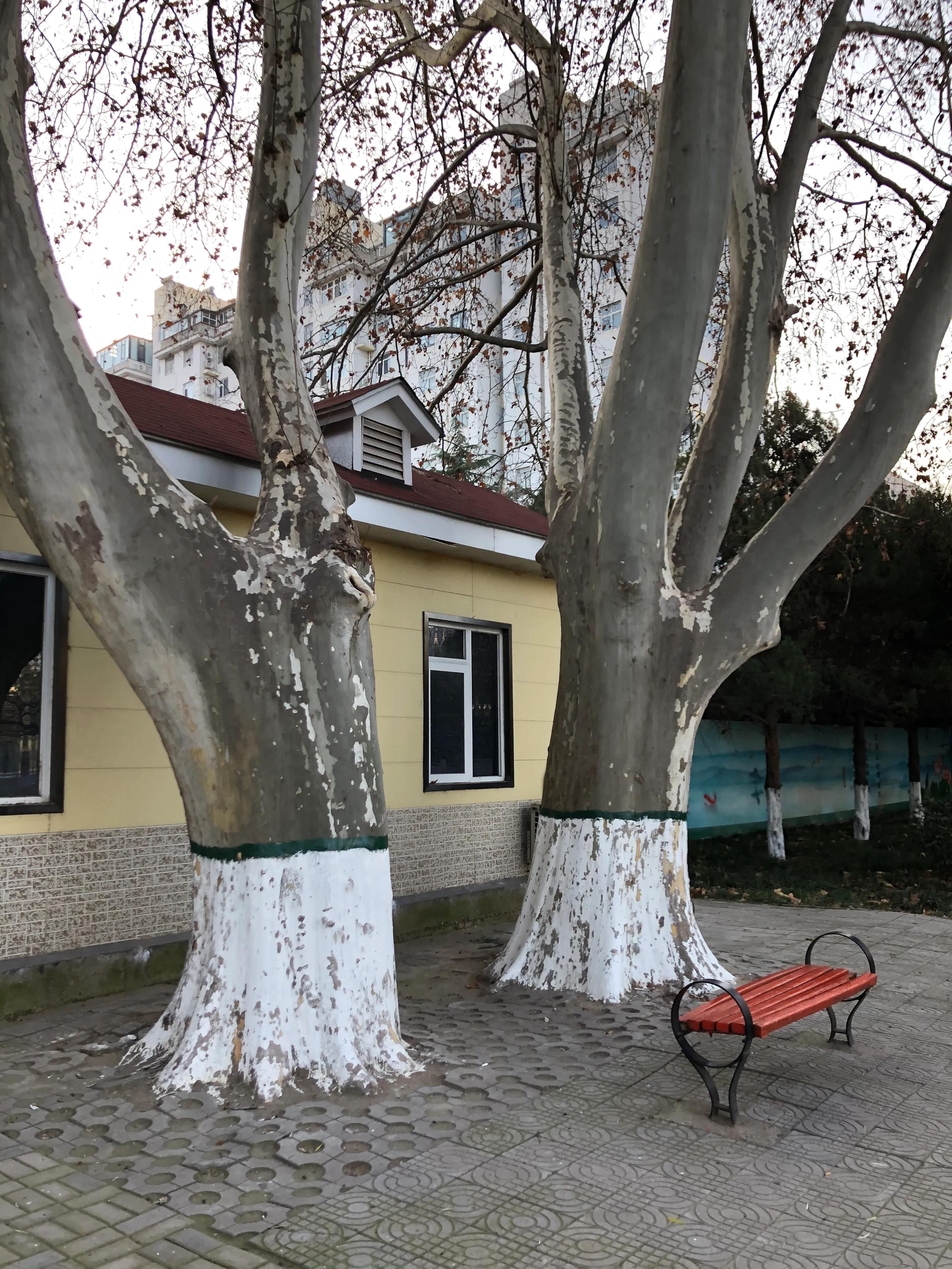 平顶山河滨公园旅游攻略,平顶山森林公园游记