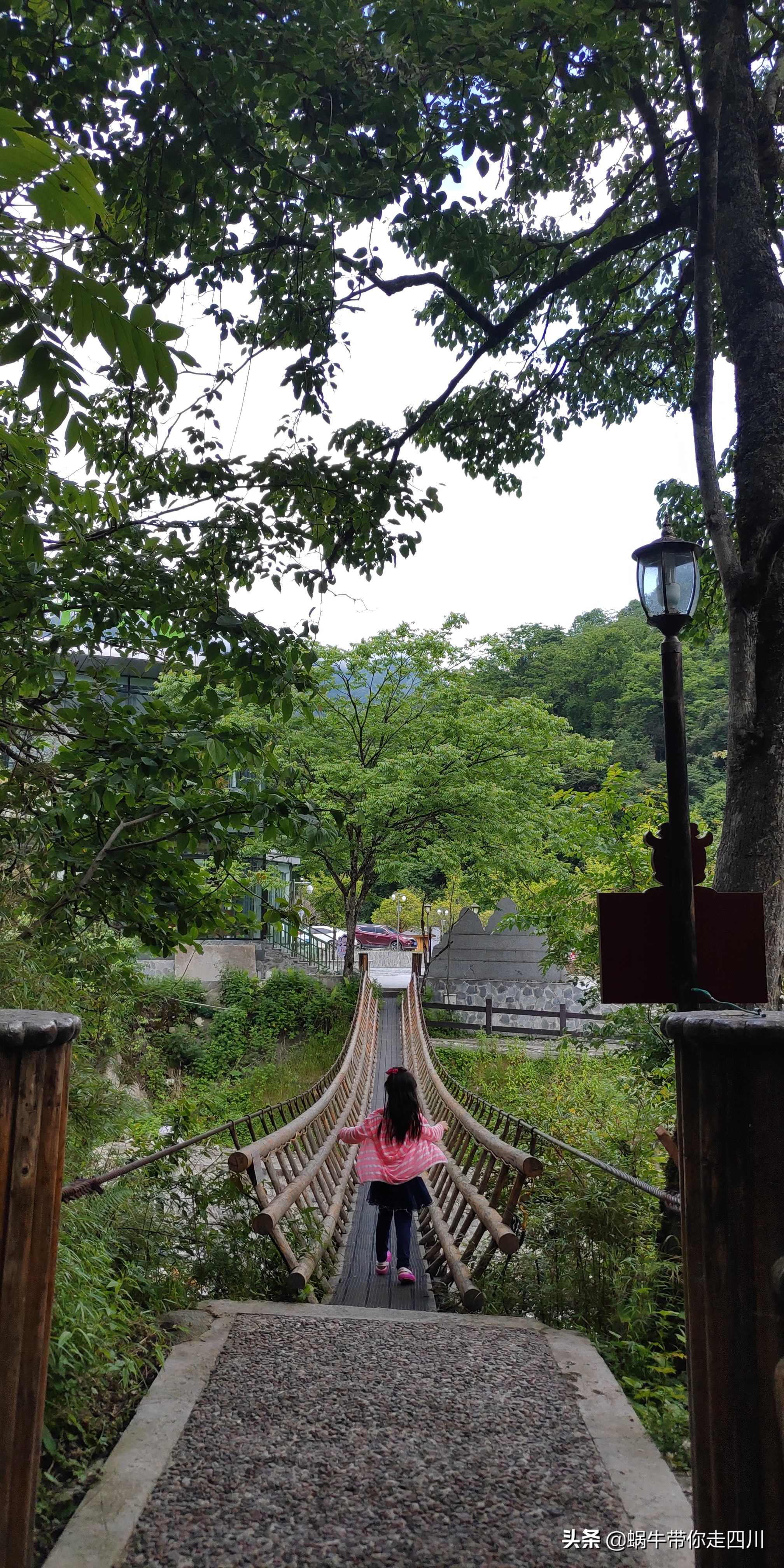 带小朋友出去看小动物,带小孩去海洋动物园