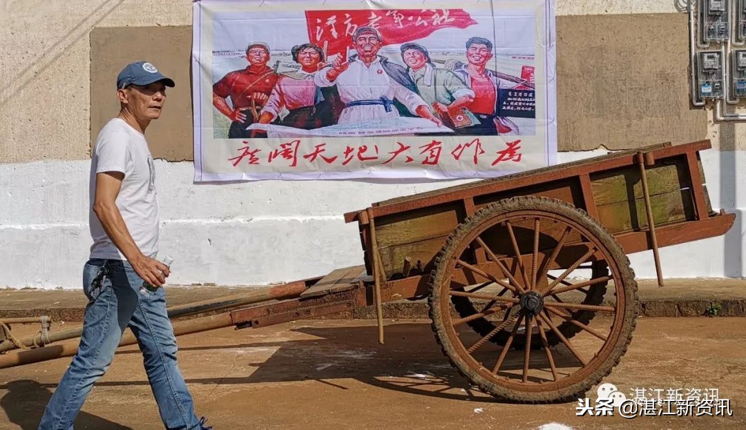 知青下乡49周年纪念活动,纪念知青下乡50周年图片图文