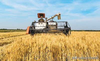 新冠肺炎对农林牧渔业行业的影响,新冠肺炎对农业企业影响