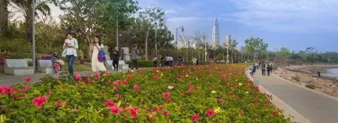 深圳有几家出名花店,深圳比较好的花店推荐