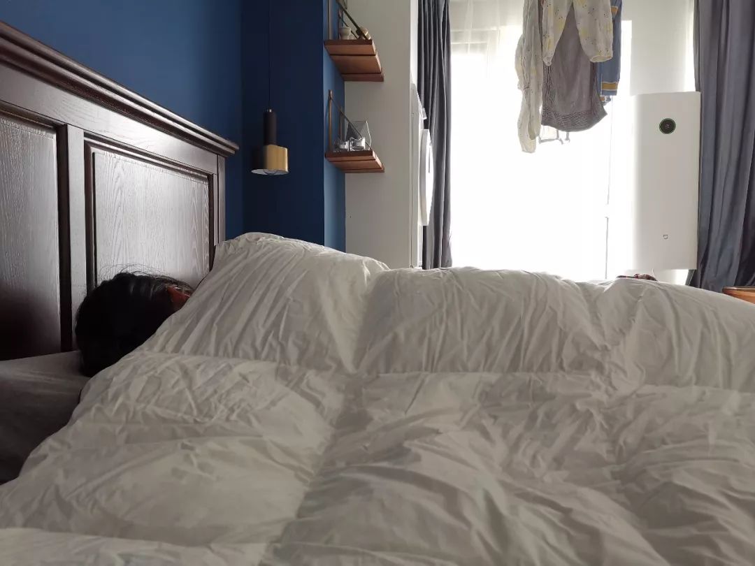 各种被芯的使用年限,各种被芯对比