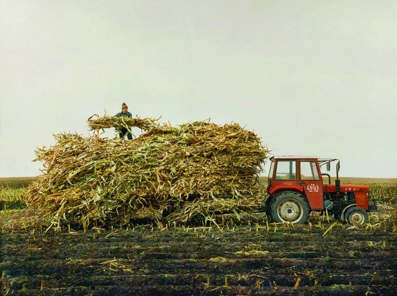 第十三届全国美展油画作品集,第十三届全国美术展油画作品集