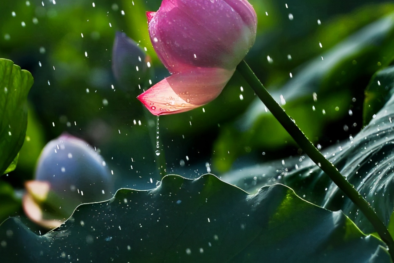 大暑的五种美,小暑的七种食物