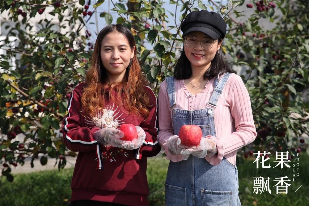 正绿脆香苹果新品种,苹果新品种清脆