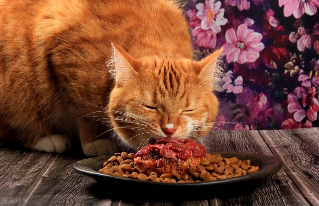 猫咪突然口吐白沫全身抽搐,猫咪吐白沫要喂化毛膏吗