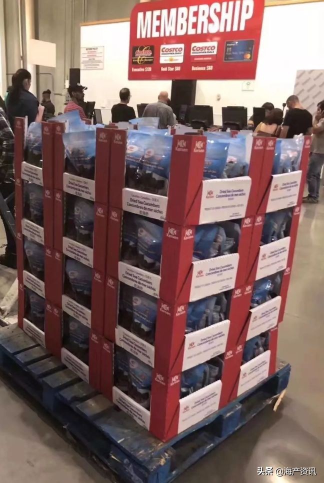 加拿大进口即食海参,加拿大即食海参500g6只左右