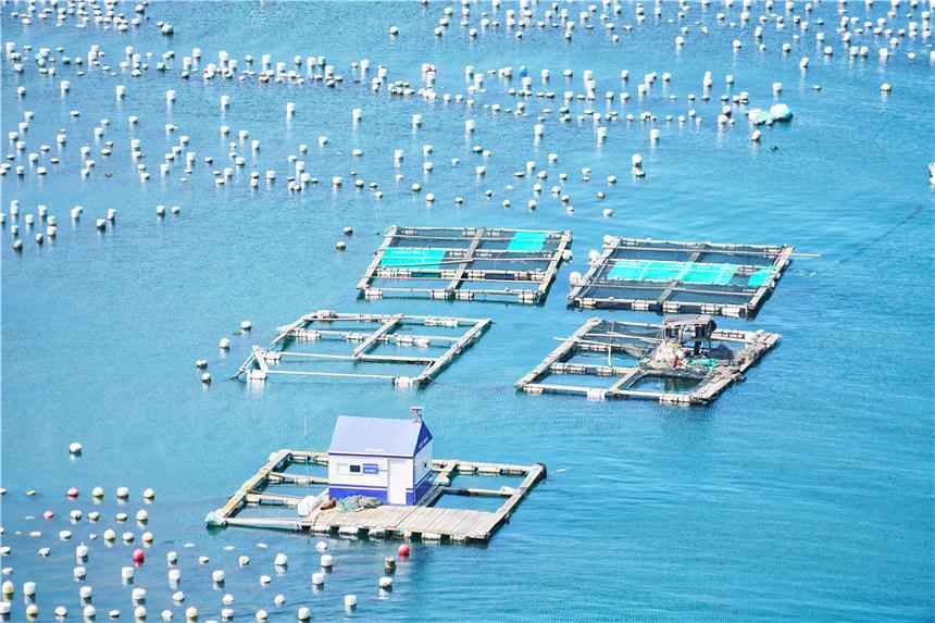 嵊泗美食推荐攻略,嵊泗列岛旅游攻略美食