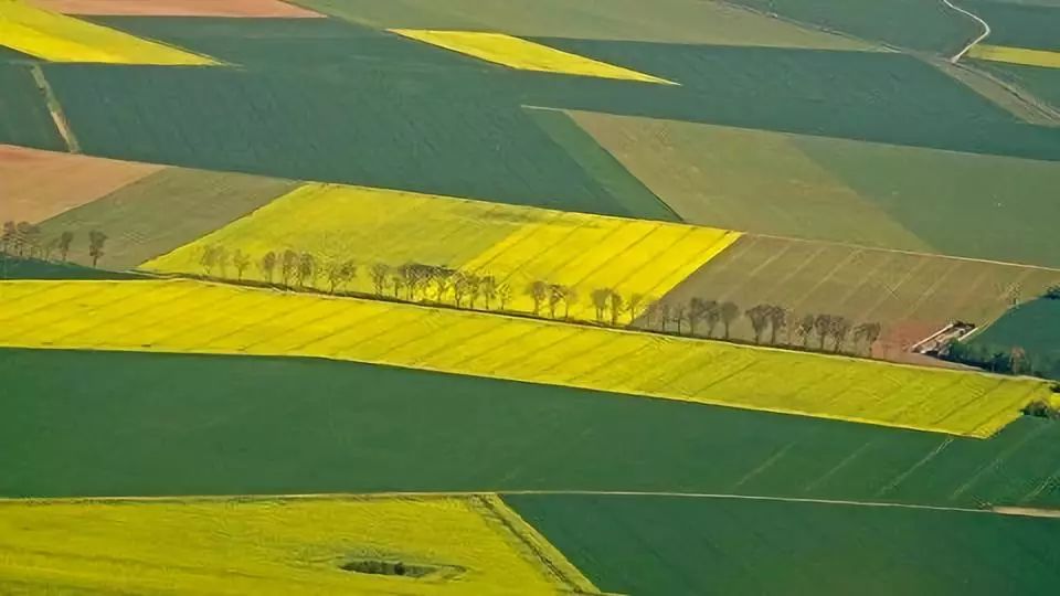 欣赏生活中的旋转之美,生活中的几何原理