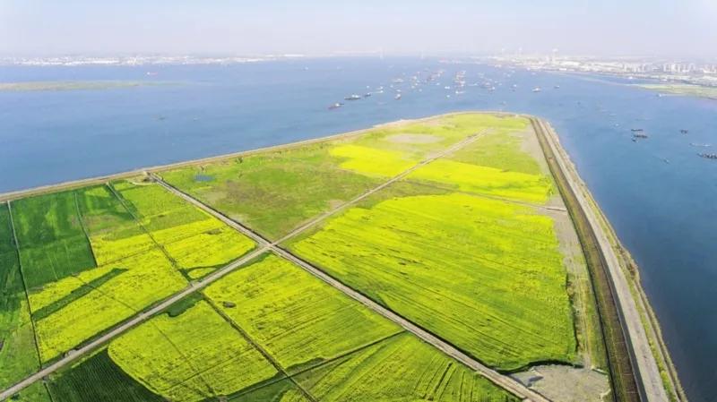 渔民上岸新生活,苏州渔民上岸新生活