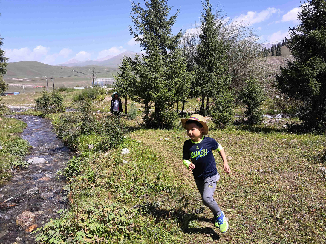 *疆新**蒙古包旅店老板,看他一天的收入多少,一个月就抵我一年工资