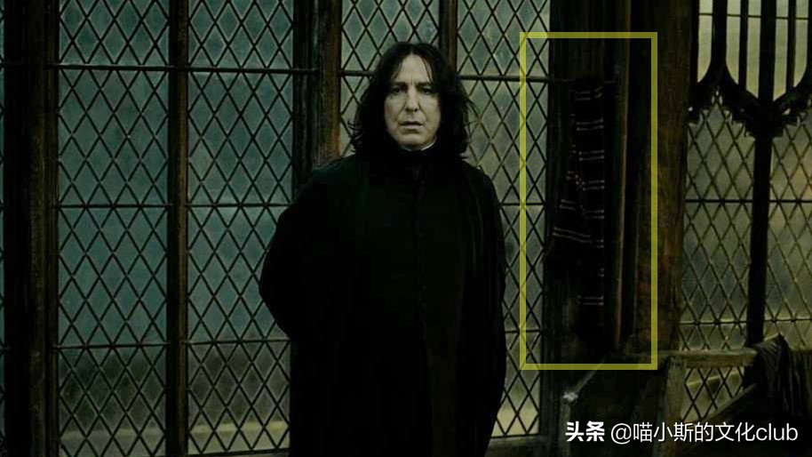 哈利波特中的斯内普和波特冷知识,哈利波特哈利对斯内普评价