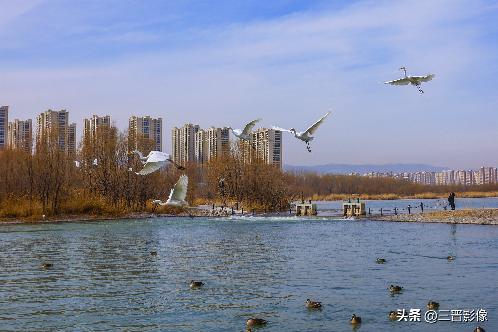 佳能r5转接佳能ef50l拍摄的作品,佳能r5转接ef镜头感觉没有5d4清晰