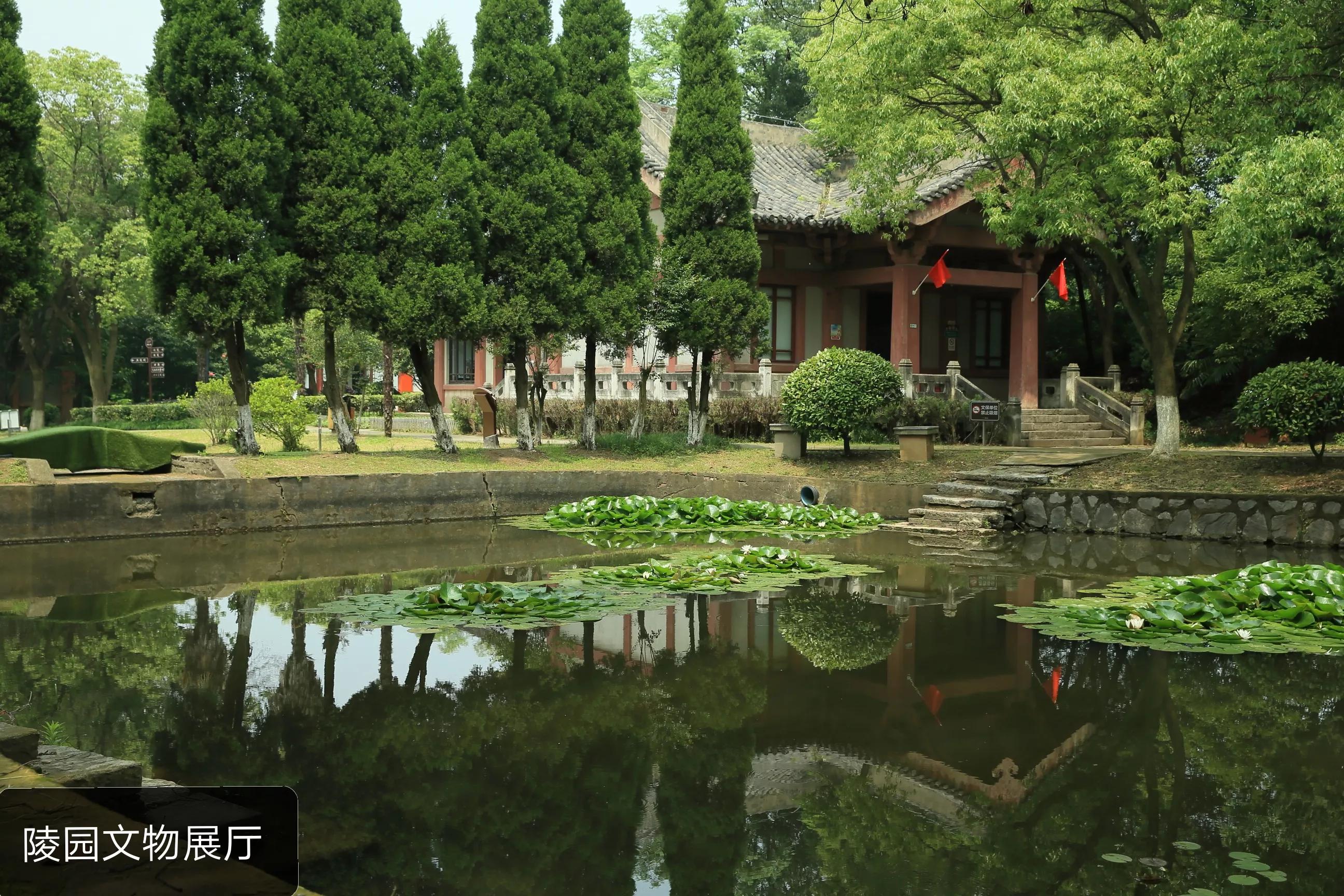 世凹桃园,世凹桃源图片