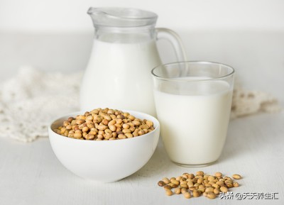 老年人补钙用什么牌子的钙好,老年人补钙的食物排行榜前十名