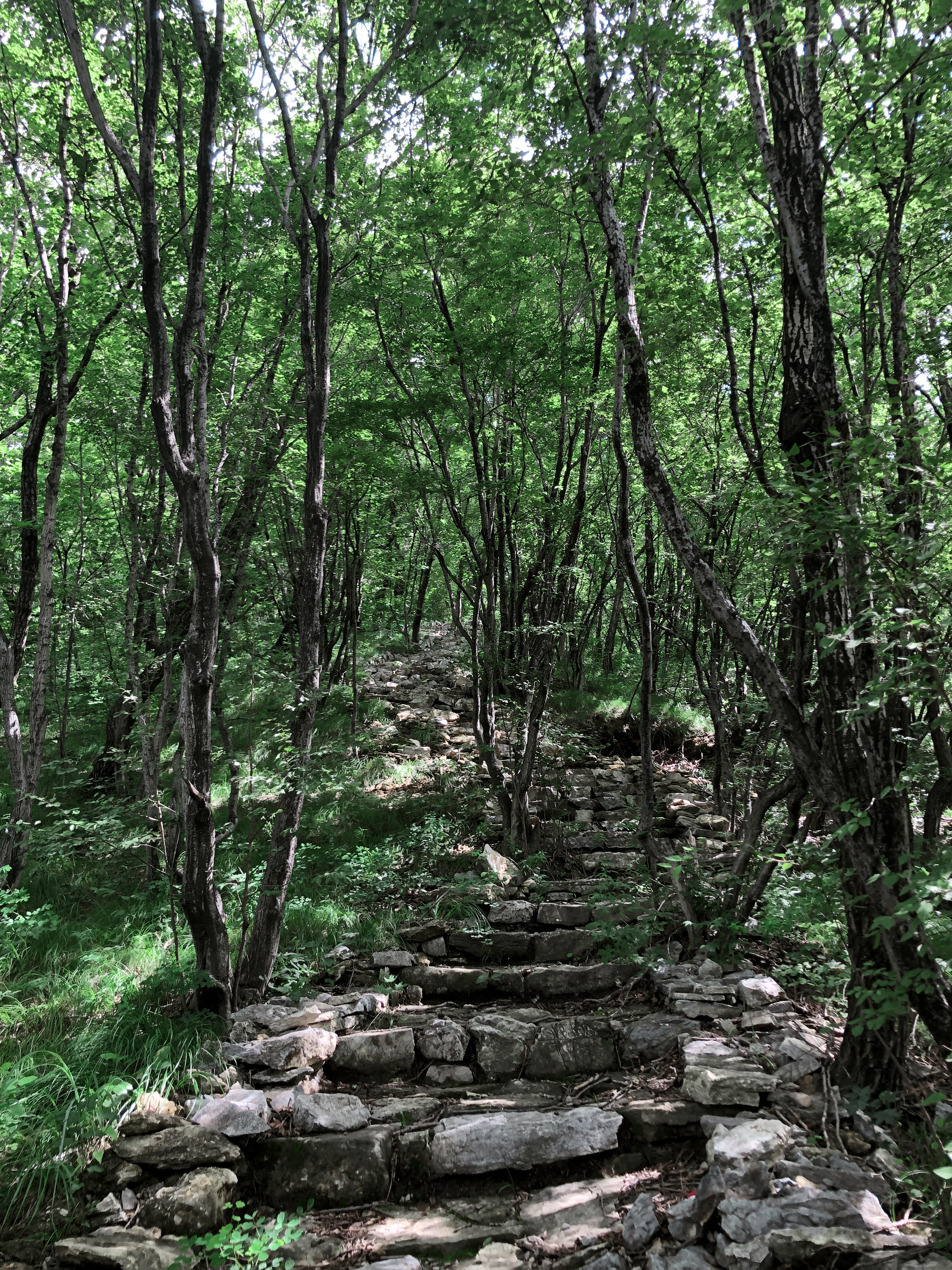 京郊十条登山步道推荐,房山蝴蝶谷登山步道