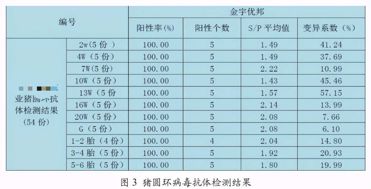 猪的圆环蓝耳病毒是怎么引起的,高致病性猪蓝耳病