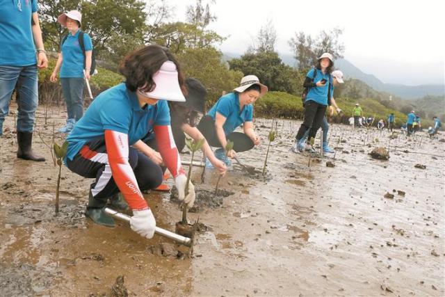 深圳志愿者帮助失联20年人回家,深圳志愿者公益活动