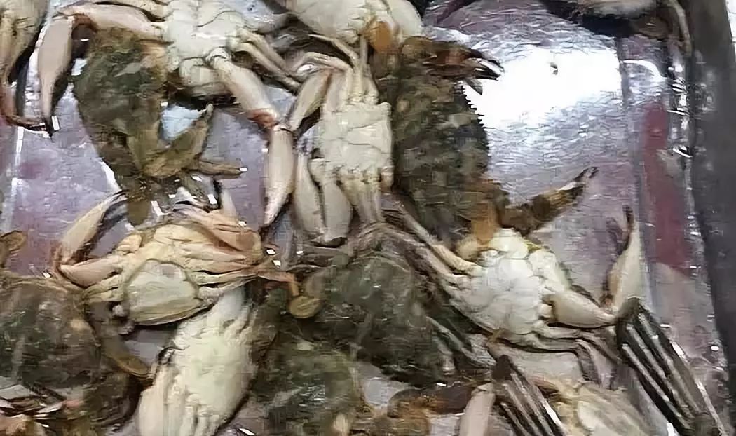 盘锦美食必吃10家饭店,盘锦寻鲜记