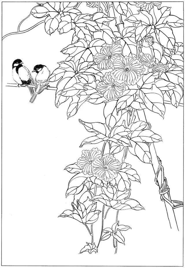 工笔花鸟白描步骤图,牡丹六尺横幅白描工笔花鸟底稿