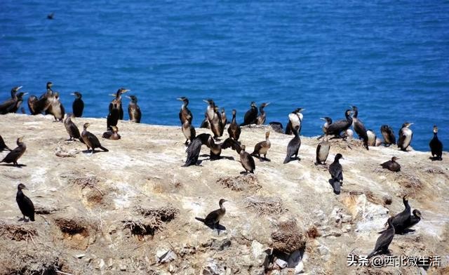 青海到底是哪里的,青海到底是一个怎样的地方