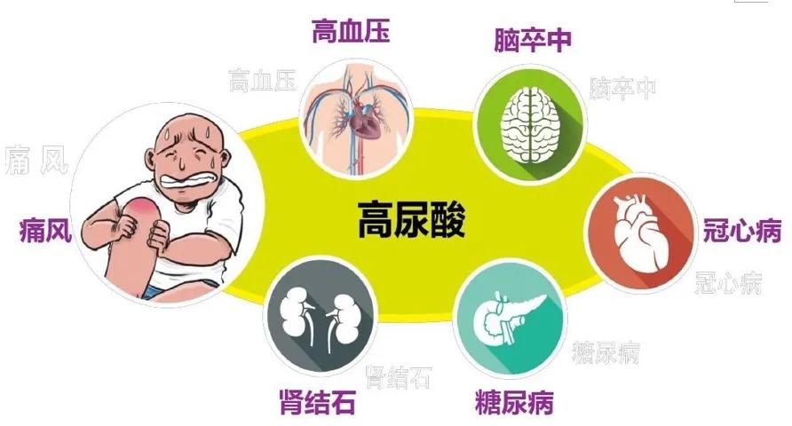 高尿酸血症病人怎么注意饮食,高尿酸血症需要长期吃药控制吗