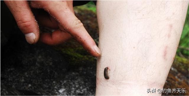 钓友野钓捡获一只巨鳖,58斤大鳖突然浮出水面吓坏江边人