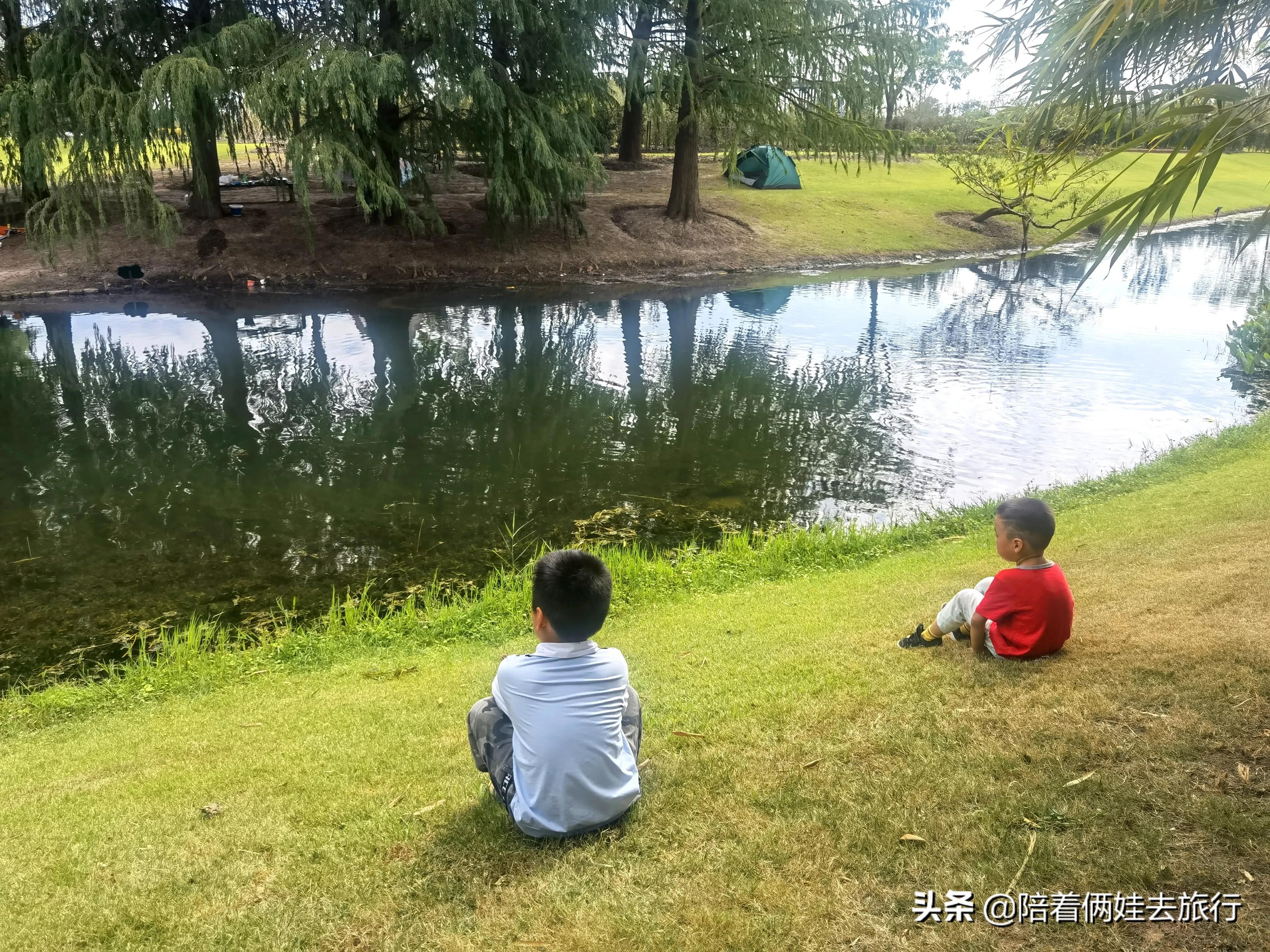 上海辰山植物园矿坑花园,辰山植物园矿坑花园修好了吗