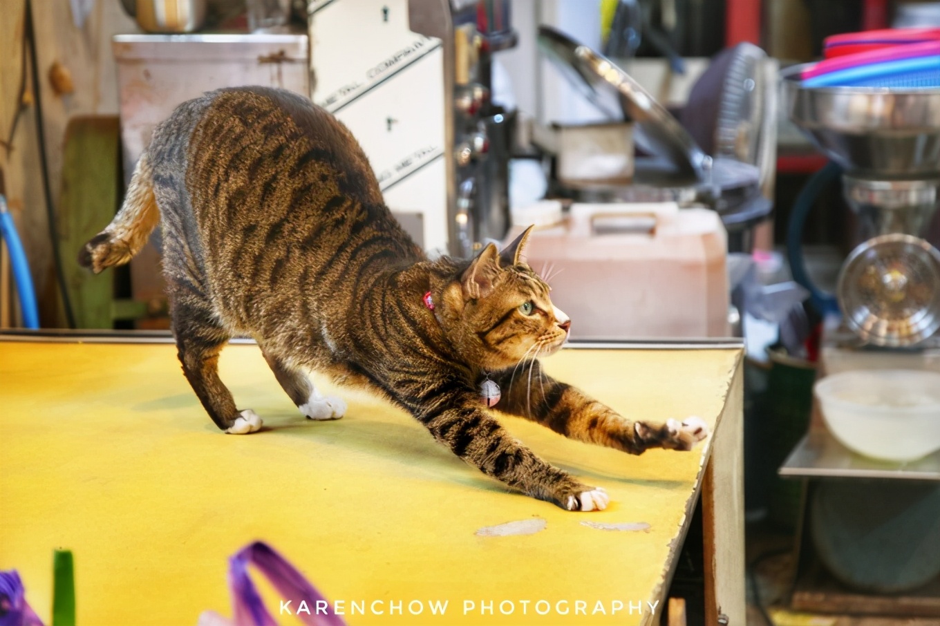 大邱安东小吃,韩国安东美食