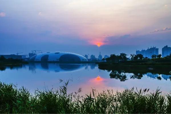 是什么让越来越多的年轻人爱上津南，留在津南！