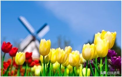 15分钟通俗易懂了解期权,如何通俗地解释期权的概念和特点