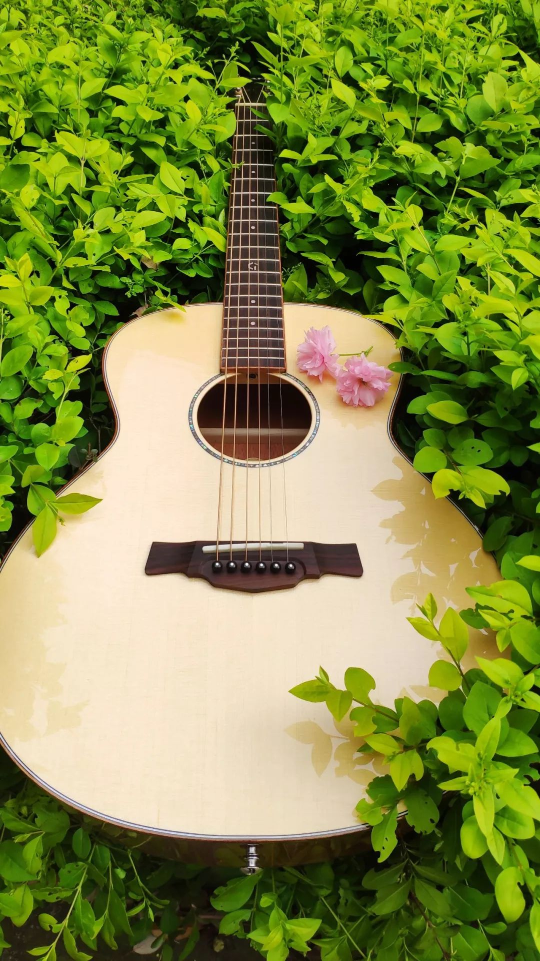 吉他面板有点鼓是正常现象吗,吉他面板鼓起是受潮还是干燥