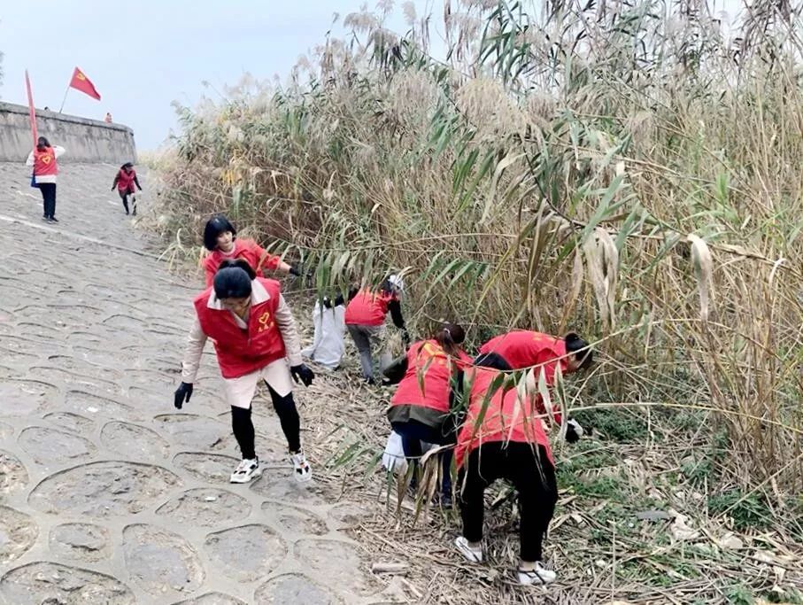 江阴长江之星农业湿地生态园,江阴利港黄丹村湿地保护区