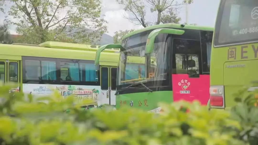 牢记使命不忘初心主题教育专栏,不忘初心牢记使命主题教育信息