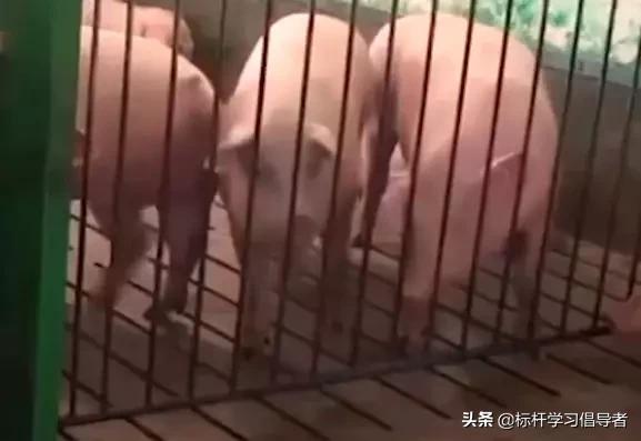 阿里1000亿打造达摩院,余杭达摩院马云投资多少个亿