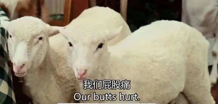 用气枪把人打伤了多久判刑,用气枪吹油对人的危害